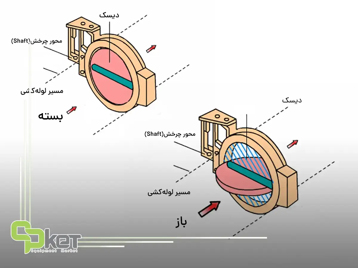 شیر پروانه ای